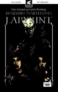 Benjamin Svartfeldts labyrint (ebok) av Tore