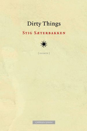 Dirty things (ebok) av Stig Sæterbakken