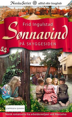 På skyggesiden (ebok) av Frid Ingulstad