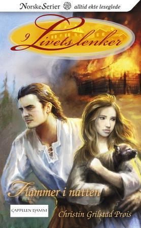 Flammer i natten (ebok) av Christin Grilsta
