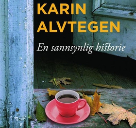 En sannsynlig historie (lydbok) av Karin Alvtegen
