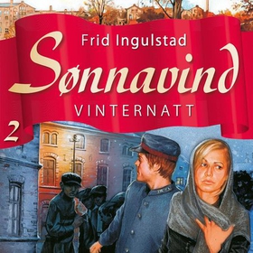 Vinternatt (lydbok) av Frid Ingulstad