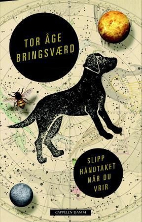 Slipp håndtaket når du vrir - roman (ebok) av Tor Åge Bringsværd