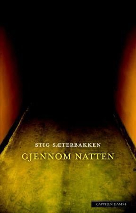 Gjennom natten (ebok) av Stig Sæterbakken
