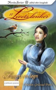 Fanget i en løgn (ebok) av Christin Grilstad