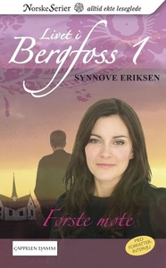 Første møte (ebok) av Synnøve Eriksen