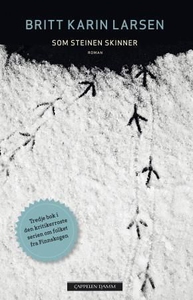 Som steinen skinner (ebok) av Britt Karin Lar
