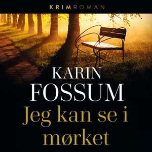 Jeg kan se i mørket (lydbok) av Karin Fossum