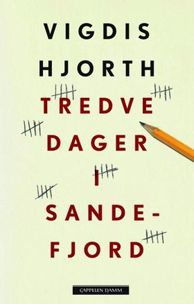 Tredve dager i Sandefjord - roman (ebok) av Vigdis Hjorth