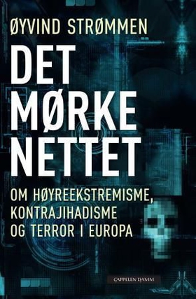Det mørke nettet (ebok) av Øyvind Strømmen