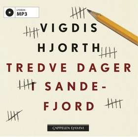 Tredve dager i Sandefjord (lydbok) av Vigdis Hjorth