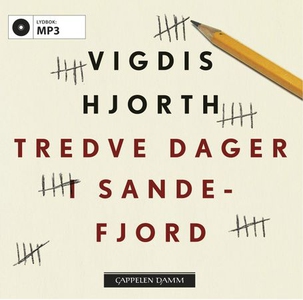 Tredve dager i Sandefjord (lydbok) av Vigdis