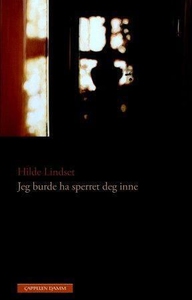 Jeg burde ha sperret deg inne (ebok) av Hilde