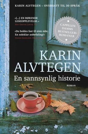 En sannsynlig historie (ebok) av Karin Alvtegen