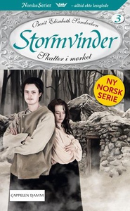 Skatter i mørket (ebok) av Berit Elisabeth Sa