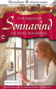 En mors bekymring (ebok) av Frid Ingulstad