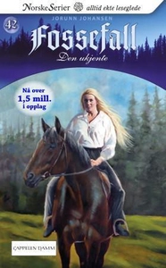 Den ukjente (ebok) av Jorunn Johansen