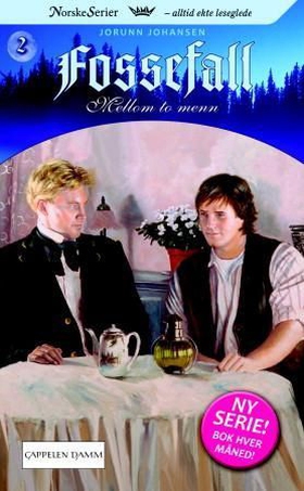 Mellom to menn (ebok) av Jorunn Johansen