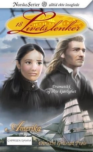 Amerika (ebok) av Christin Grilstad Prøis
