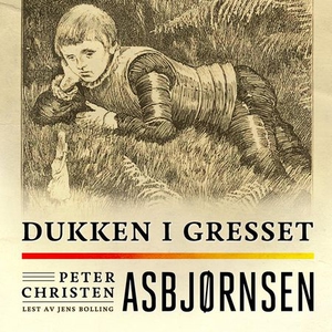 Dukken i gresset (lydbok) av Peter Christen A