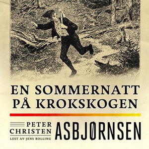 En sommernatt på Krokskogen (lydbok) av Peter