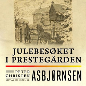 Julebesøket i prestegården (lydbok) av Peter
