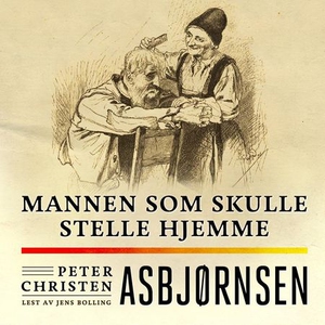 Mannen som skulle stelle hjemme (lydbok) av P