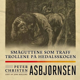 Småguttene som traff trollene på Hedalsskogen (lydbok) av Peter Christen Asbjørnsen