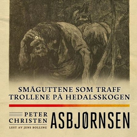 Småguttene som traff trollene på Hedalsskogen