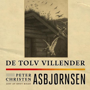De tolv villender (lydbok) av Peter Christen