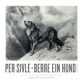 Berre ein hund