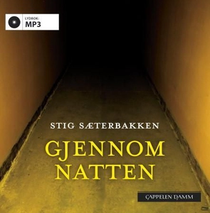 Gjennom natten (lydbok) av Stig Sæterbakken