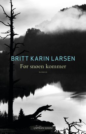 Før snøen kommer - roman (ebok) av Britt Karin Larsen