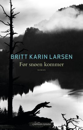 Før snøen kommer (ebok) av Britt Karin Larsen