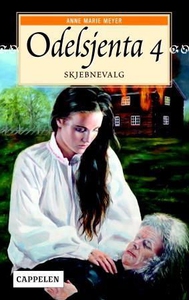 Skjebnevalg (ebok) av Anne Marie Meyer