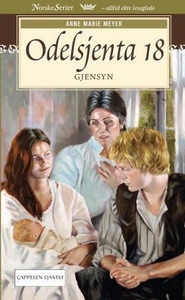 Gjensyn (ebok) av Anne Marie Meyer