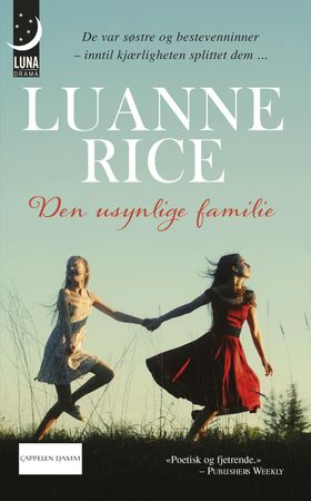 Den usynlige familie (ebok) av Luanne Rice