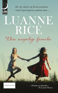 Den usynlige familie (ebok) av Luanne Rice