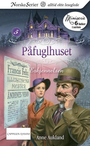 Erkjennelsen (ebok) av Anne Aukland
