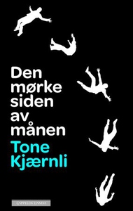 Den mørke siden av månen (ebok) av Tone Kjærn