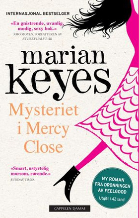 Mysteriet i Mercy Close (ebok) av Marian Keyes