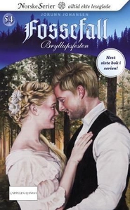 Bryllupsfesten (ebok) av Jorunn Johansen