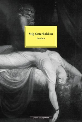 Incubus (ebok) av Stig Sæterbakken