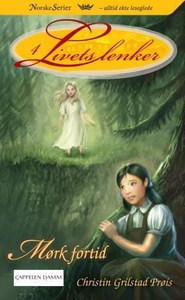 Mørk fortid (ebok) av Christin Grilstad Prøis