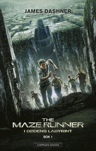 I dødens labyrint (ebok) av James Dashner