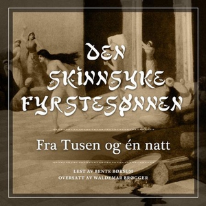 Den skinnsyke fyrstesønnen (lydbok) av