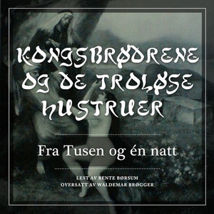 Kongbrødrene og de troløse hustruer (lydbok)