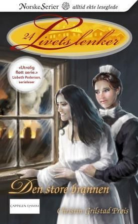 Den store brannen (ebok) av Christin Grilstad Prøis