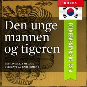 Den unge mannen og tigeren (lydbok) av Divers