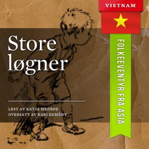 Store løgner (lydbok) av